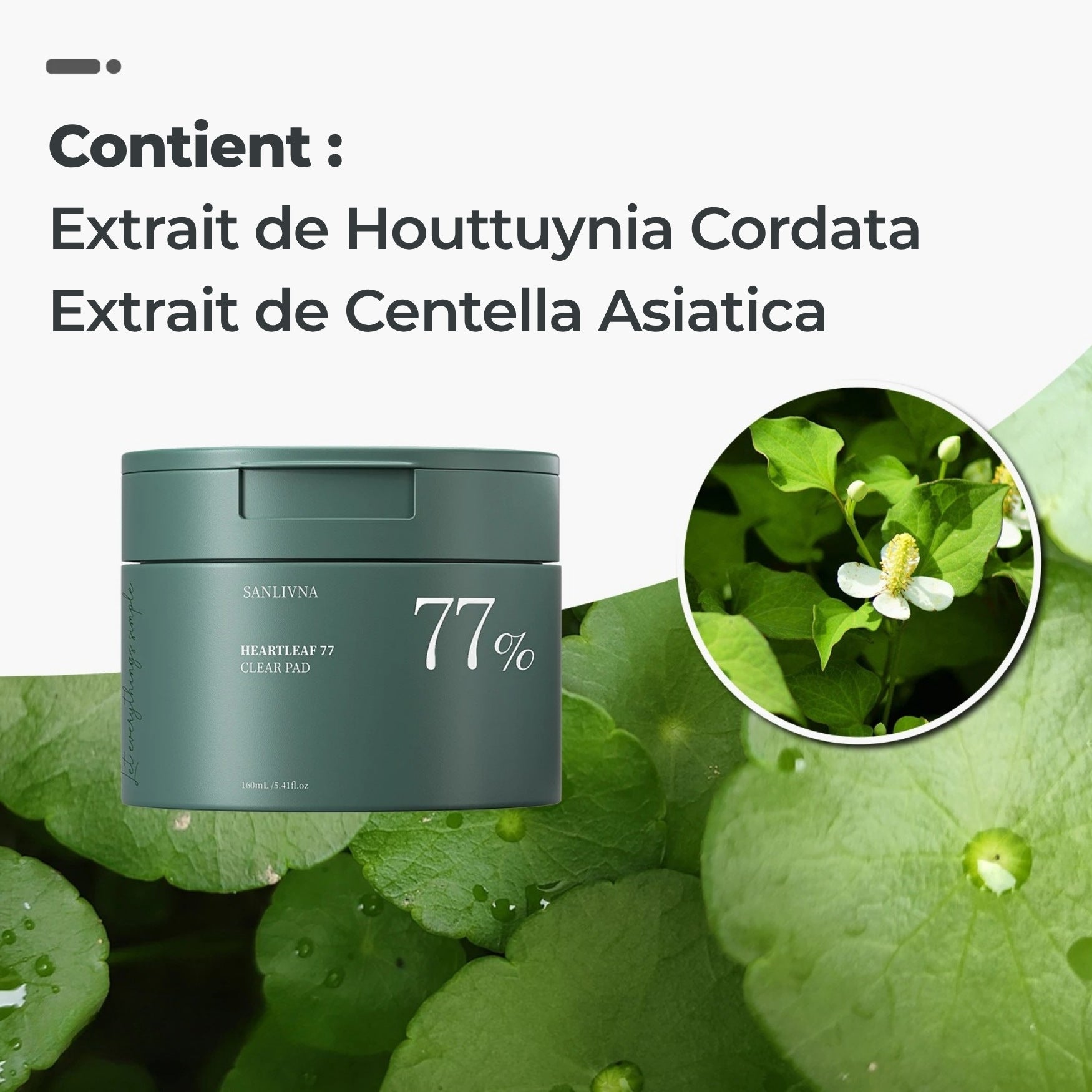 Extrait de Centella Asiatica pour apaiser et renforcer la barrière cutanée