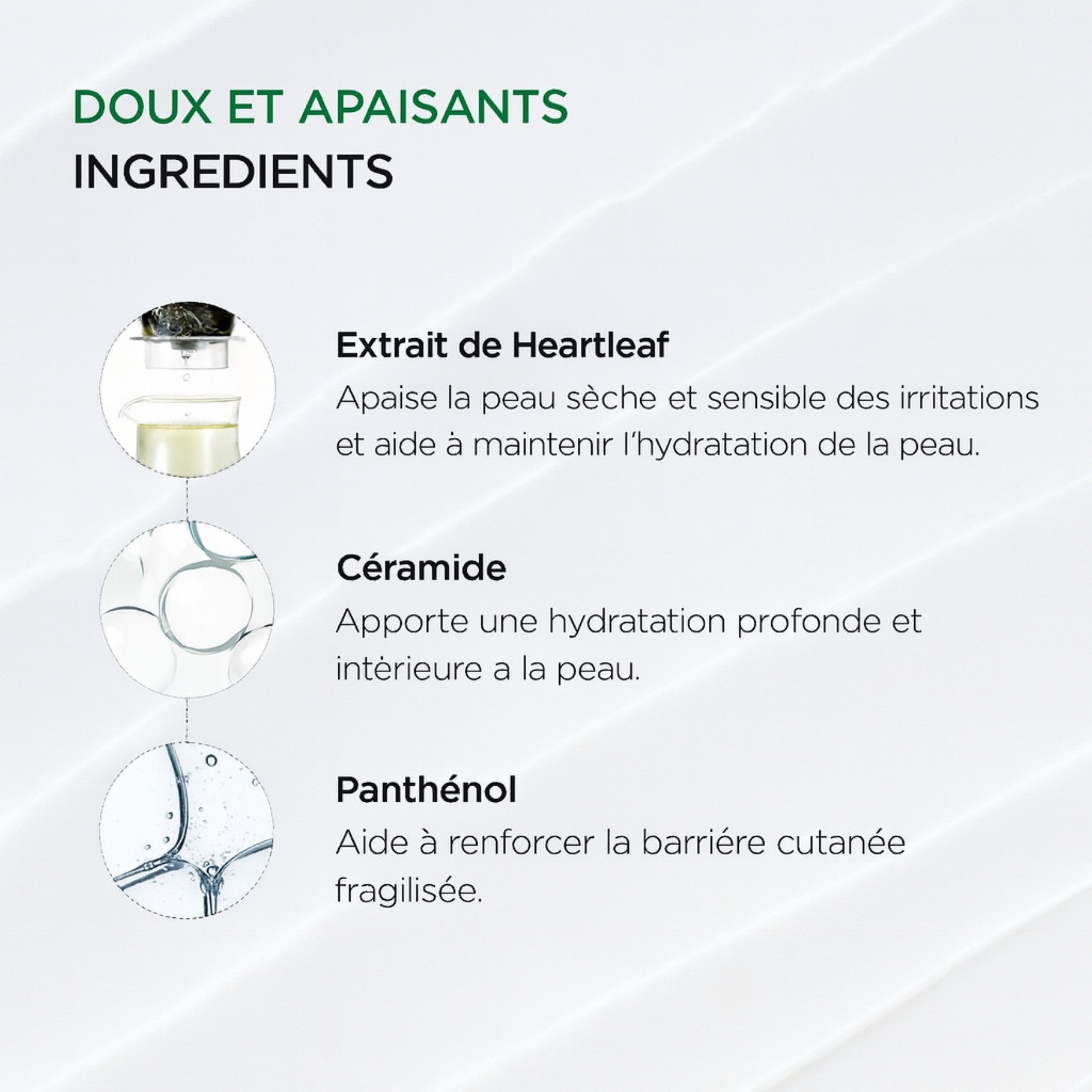 Céramides renforçant la barrière cutanée dans la crème Heartleaf