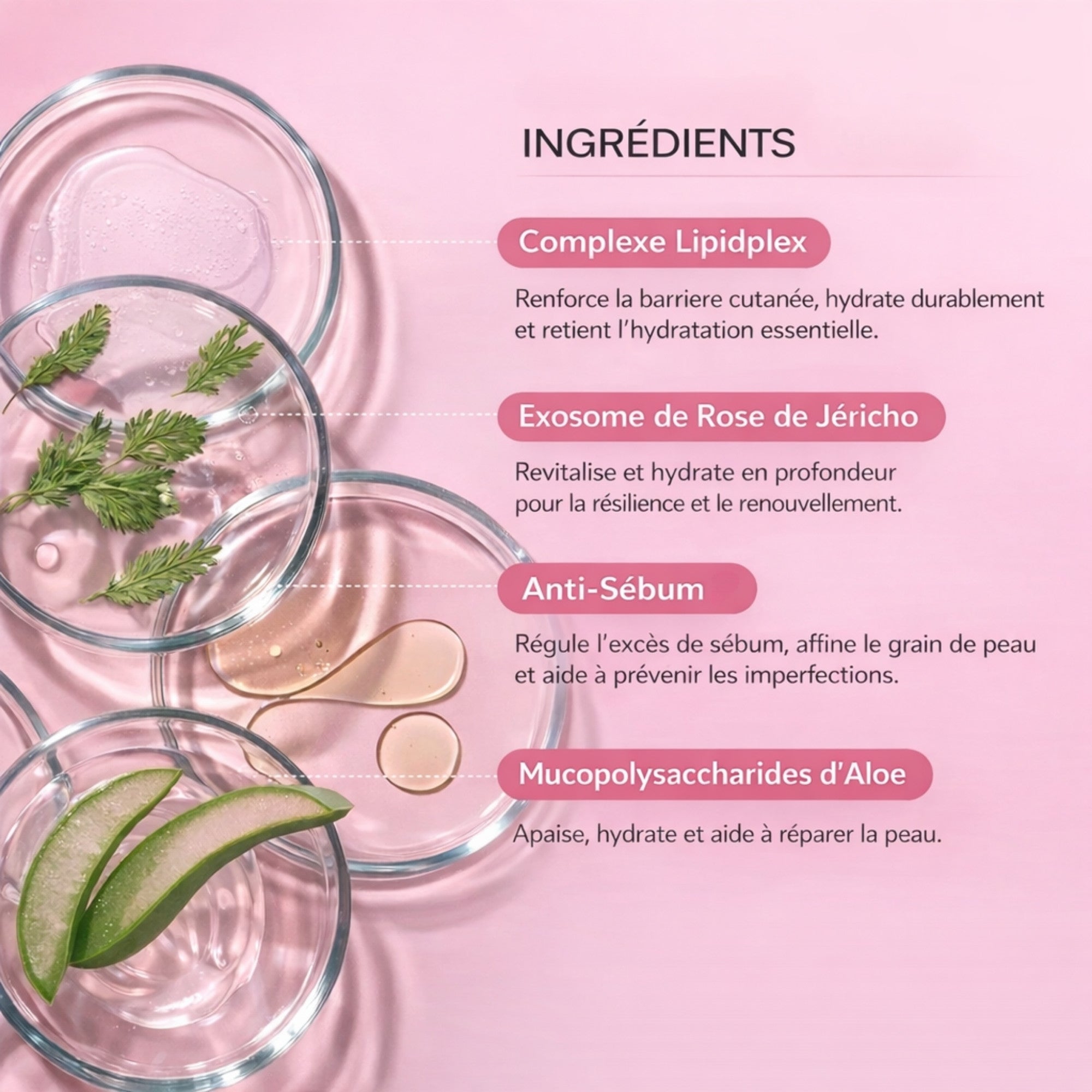 Ingrédients du masque PDRN collagène ADN de saumon avec niacinamide et agents hydratants